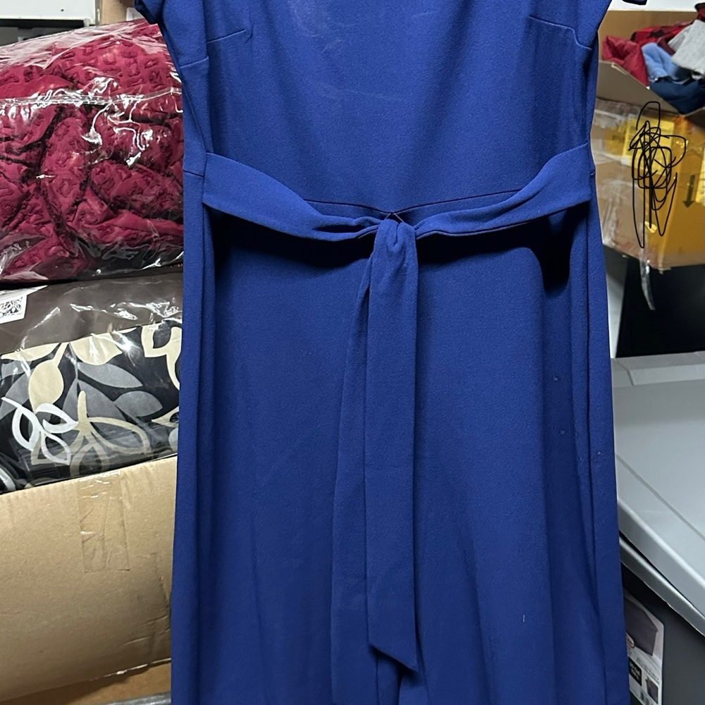 Elegant Blue Women's jumpsuit